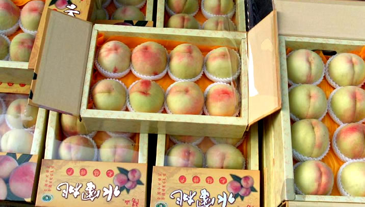 阳山水蜜桃——果中之王